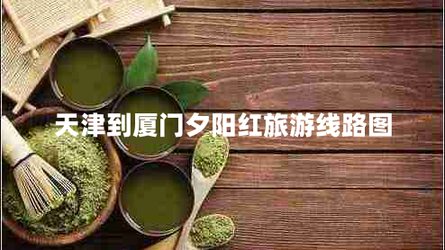 天津到厦门夕阳红旅游线路图