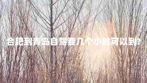 合肥到青岛自驾要几个小时可以到?