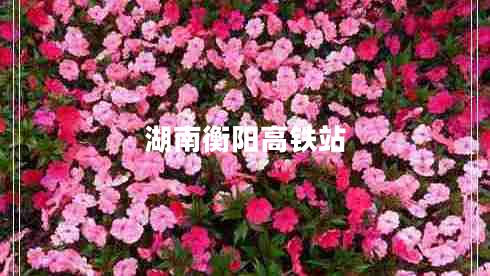 湖南衡阳高铁站