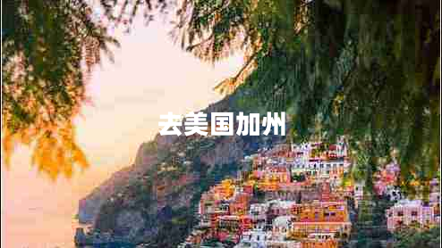 去美国加州