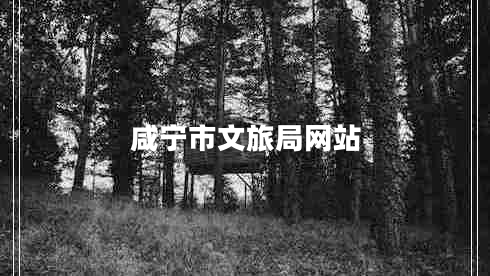 咸宁市文旅局网站