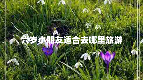 六岁小朋友适合去哪里旅游