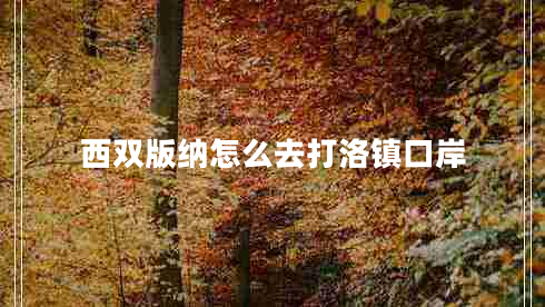 西双版纳怎么去打洛镇口岸