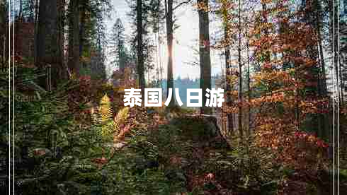 泰国八日游