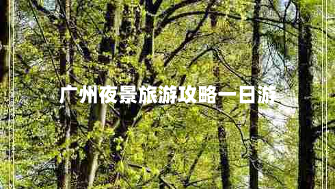 广州夜景旅游攻略一日游