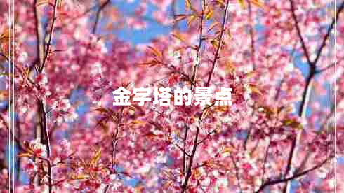 金字塔的景点