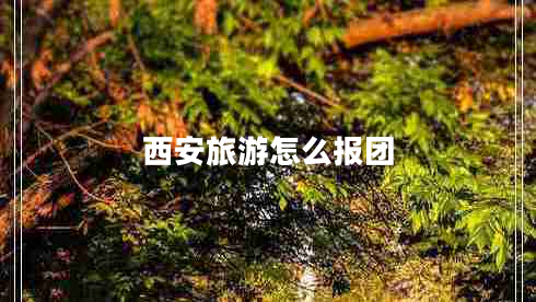 西安旅游怎么报团