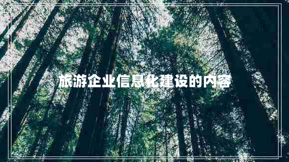 旅游企业信息化建设的内容