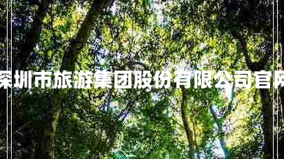 深圳市旅游集团股份有限公司官网