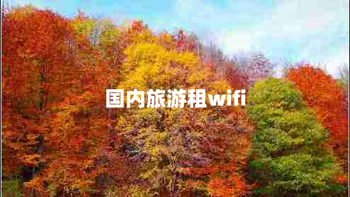 国内旅游租wifi