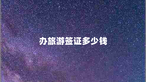 办旅游签证多少钱