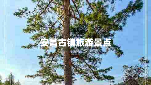 安昌古镇旅游景点