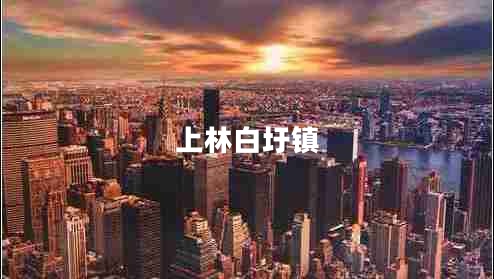 上林白圩镇