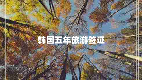 韩国五年旅游签证