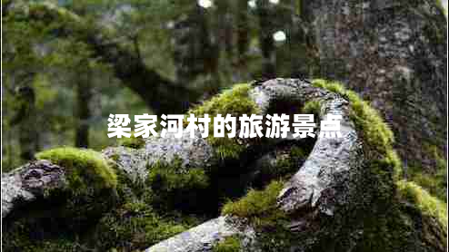 梁家河村的旅游景点