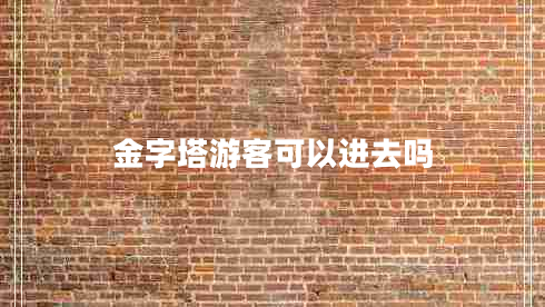 金字塔游客可以进去吗