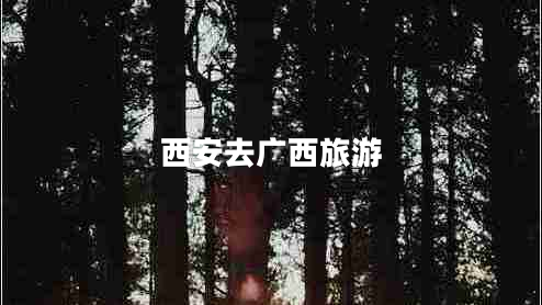 西安去广西旅游