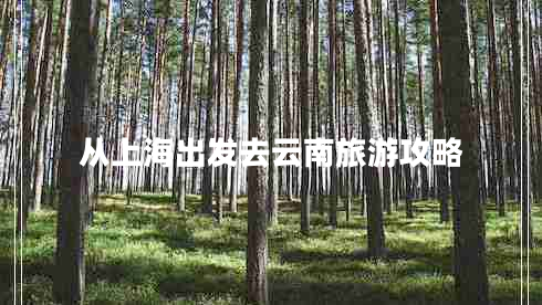 从上海出发去云南旅游攻略