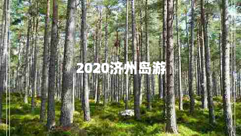 2020济州岛游