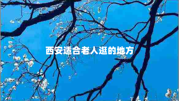 西安适合老人逛的地方