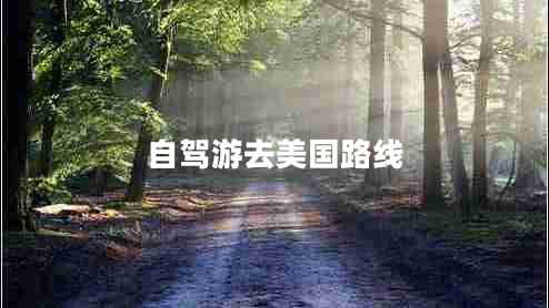 自驾游去美国路线