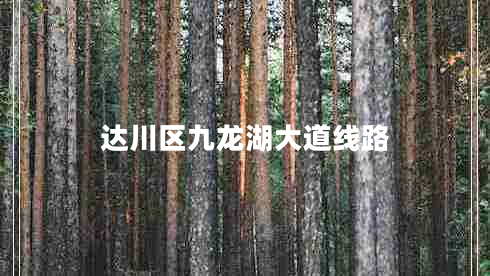 达川区九龙湖大道线路