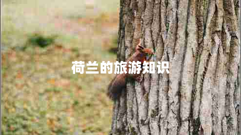 荷兰的旅游知识