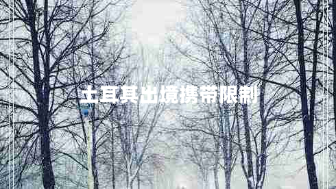 土耳其出境携带限制