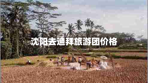 沈阳去迪拜旅游团价格
