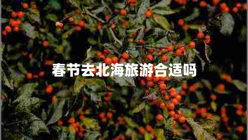 春节去北海旅游合适吗