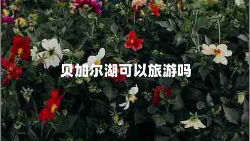 贝加尔湖可以旅游吗