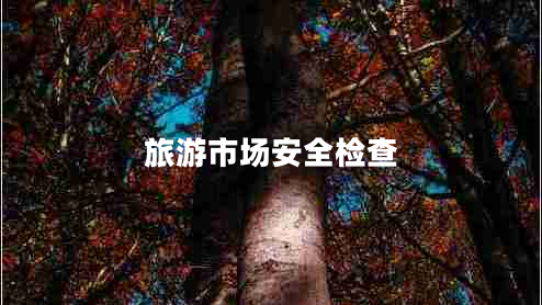 旅游市场安全检查