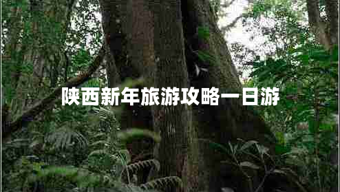 陕西新年旅游攻略一日游