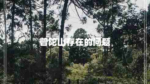 普陀山存在的问题