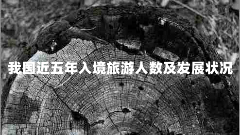 我国近五年入境旅游人数及发展状况