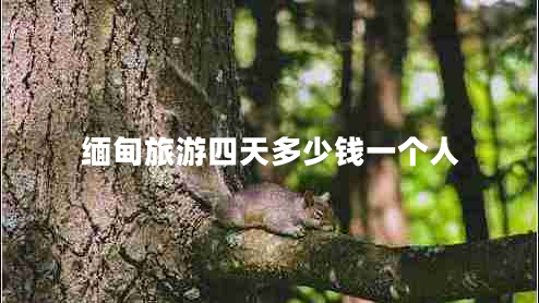 缅甸旅游四天多少钱一个人