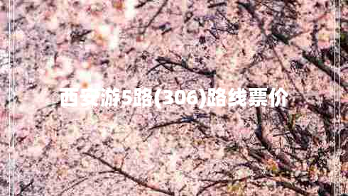 西安游5路(306)路线票价