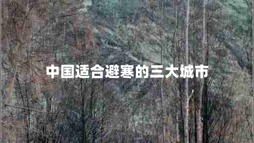 中国适合避寒的三大城市