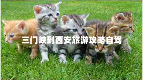 三门峡到西安旅游攻略自驾