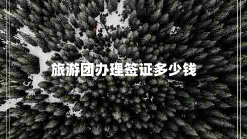 旅游团办理签证多少钱