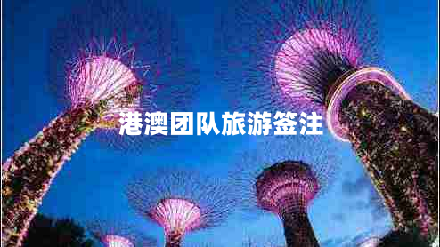 港澳团队旅游签注