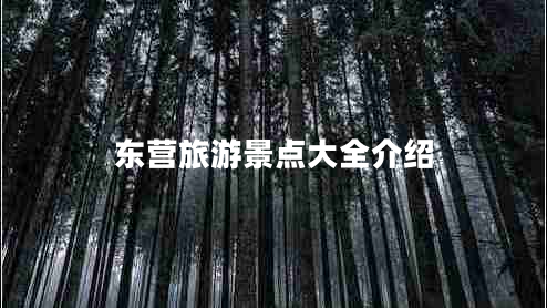 东营旅游景点大全介绍