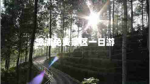 漳浦免费景区一日游