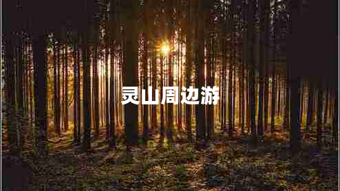 灵山周边游