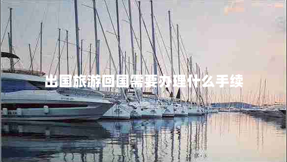 出国旅游回国需要办理什么手续