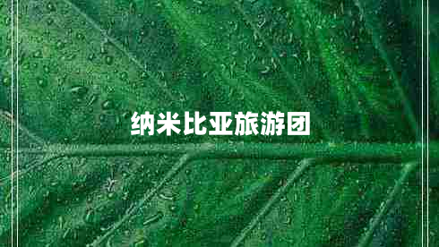 纳米比亚旅游团