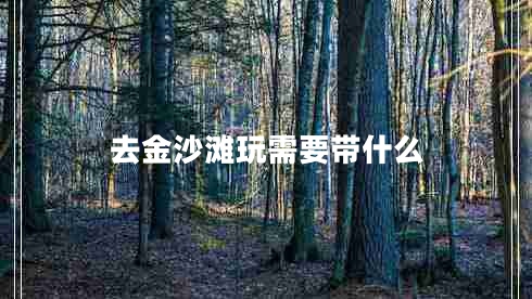 去金沙滩玩需要带什么