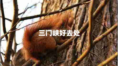 三门峡好去处