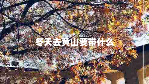 冬天去黄山要带什么