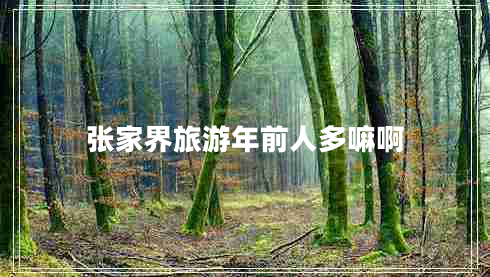 张家界旅游年前人多嘛啊